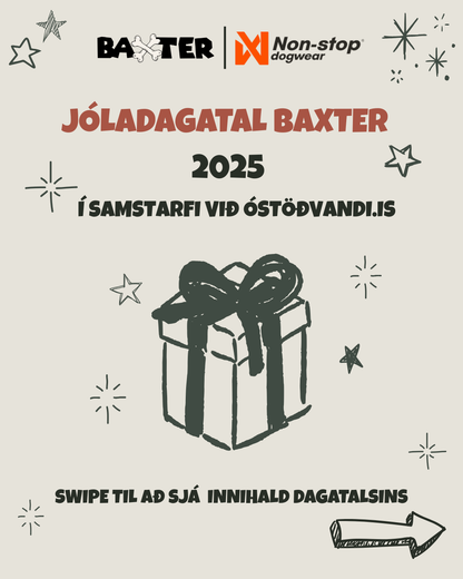 Jóladagatal 2025