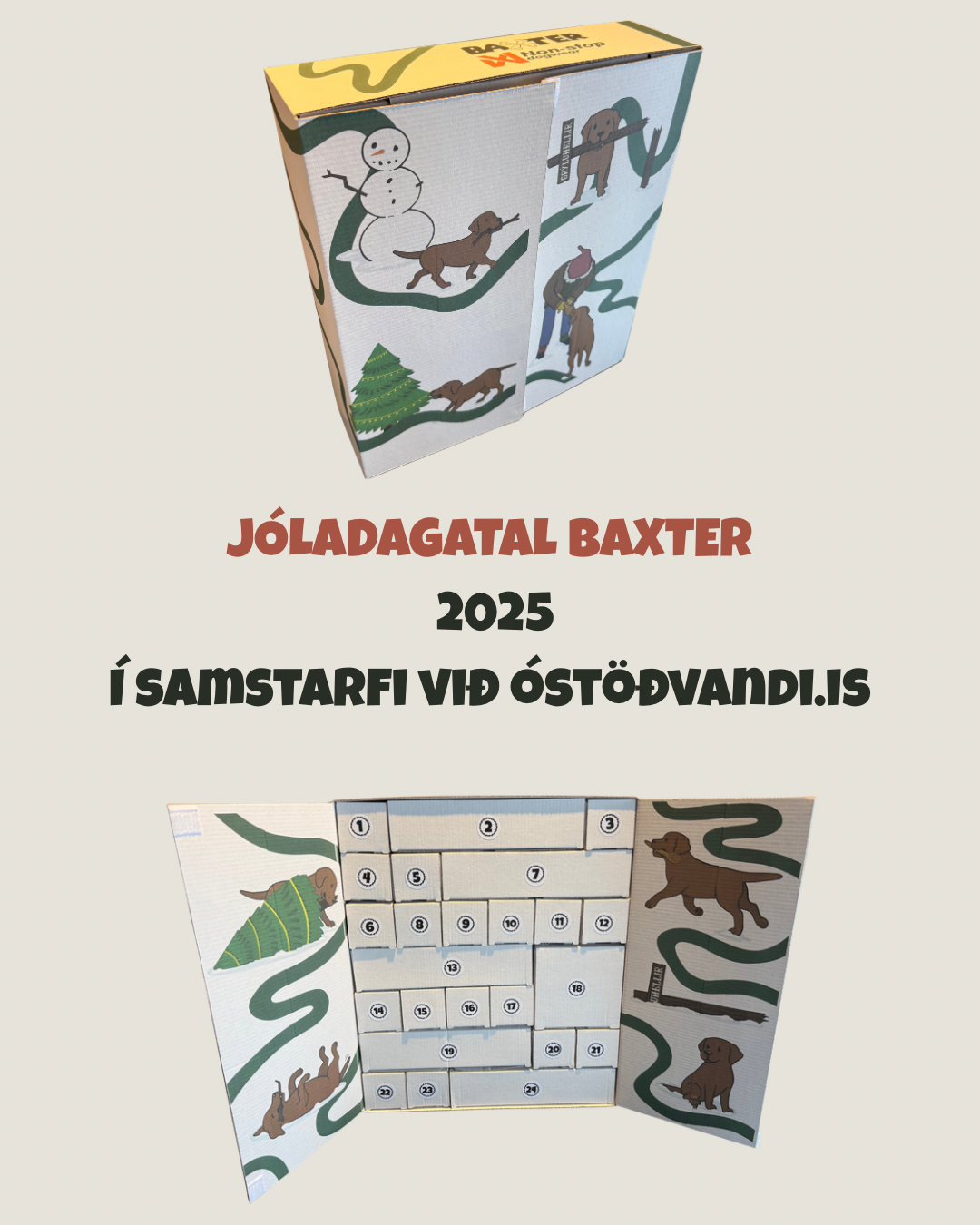 Jóladagatal 2025